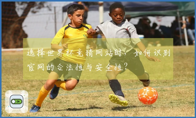 选择世界杯竞猜网站时，如何识别官网的合法性与安全性？
