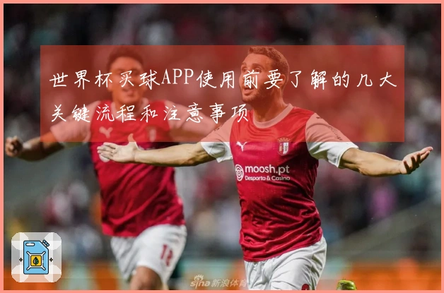世界杯买球APP使用前要了解的几大关键流程和注意事项