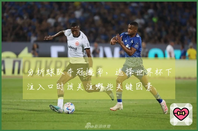 分析球队夺冠概率，选择世界杯下注入口时该关注哪些关键因素