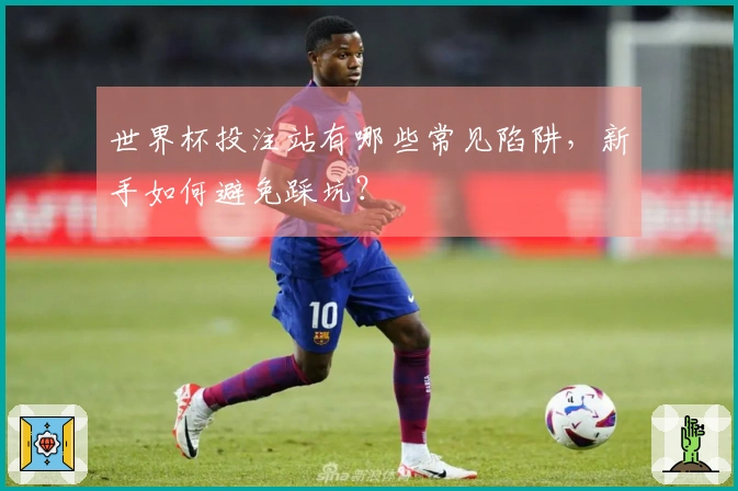 世界杯投注站有哪些常见陷阱，新手如何避免踩坑？
