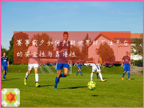 赛事前夕如何判断世界杯下注平台的安全性与靠谱性